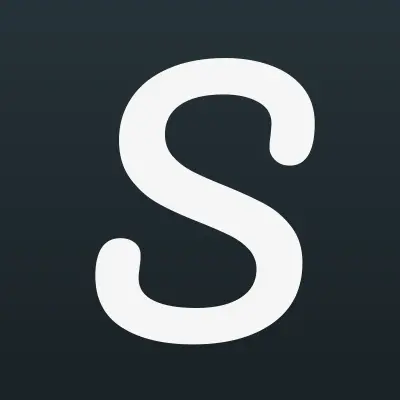 Service Standard, таможенный брокер, лого-визитка